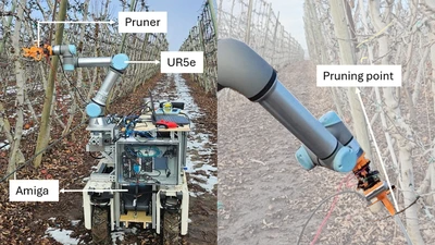 Visuomotor Robotic Pruning in Planar Orchards Using Hybrid Reinforcement Learning featured image